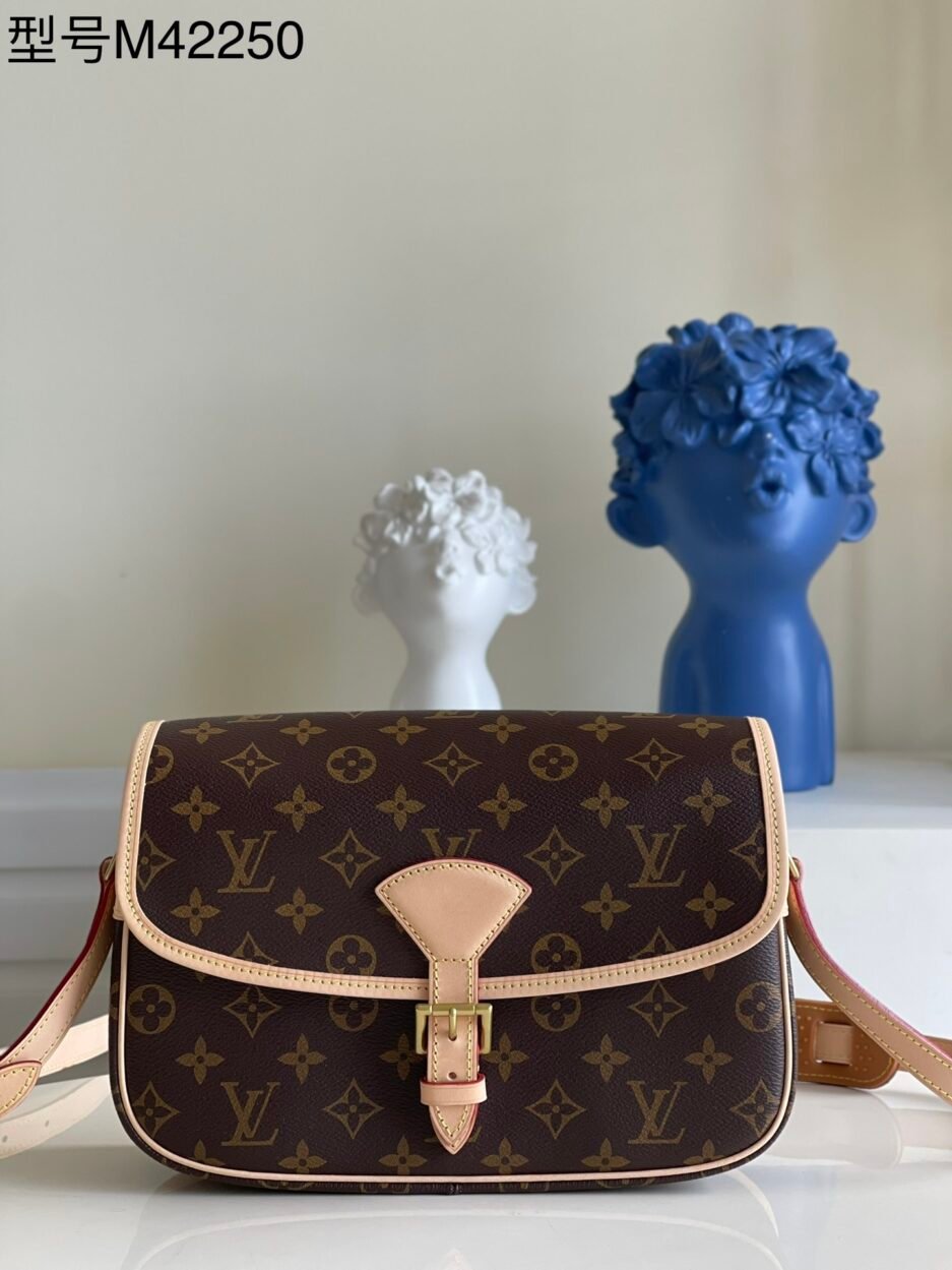 中古系列 中号手袋【独家实拍M42250】