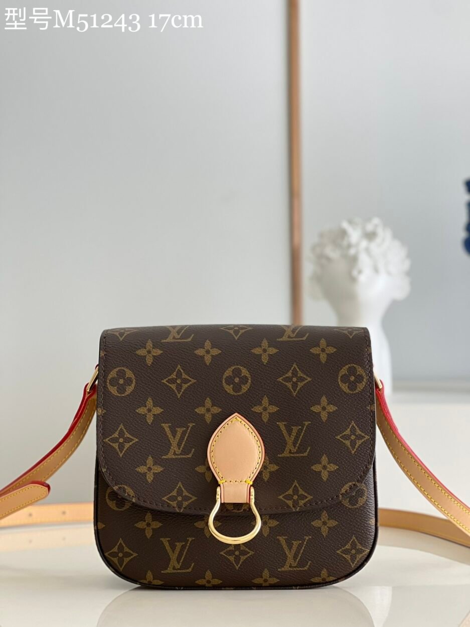 中号 复古包包控，中古马鞍包，绝对的祖母款【独家实拍M51243】