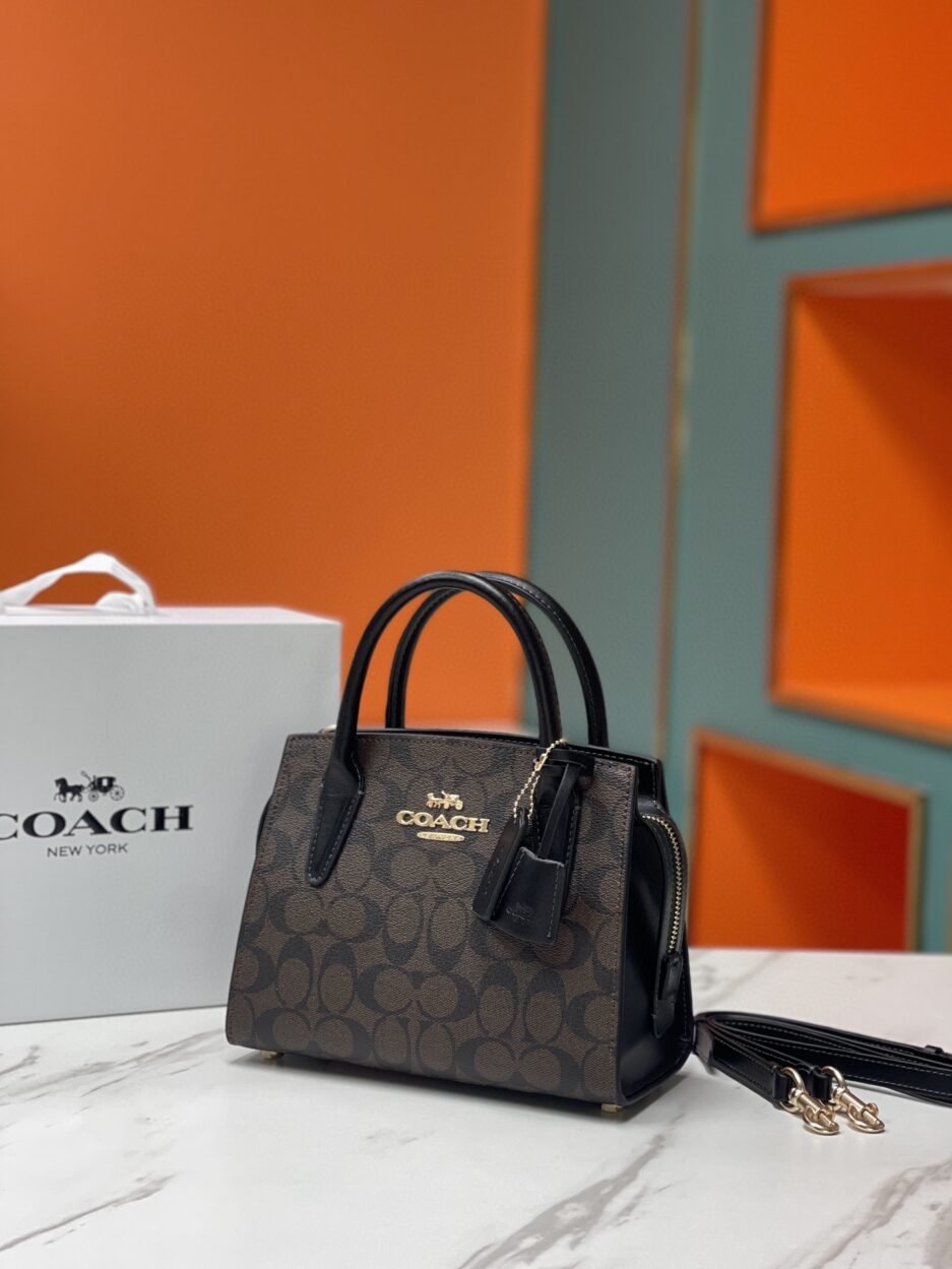 COACH/蔻驰新款 型号C 1月新品Andrea戴妃包