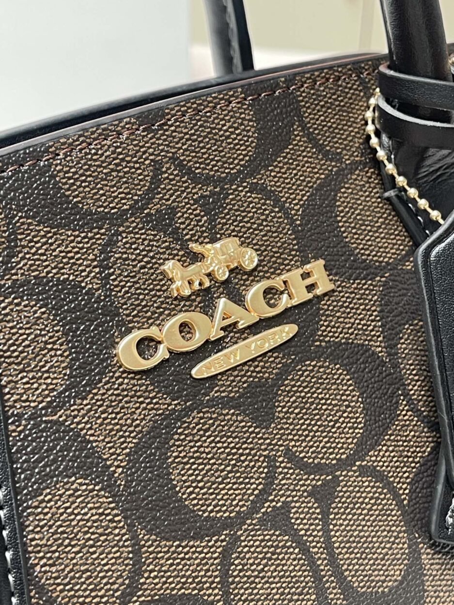 COACH/蔻驰新款 型号C 1月新品Andrea戴妃包：圖片 6