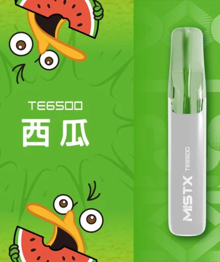 鴨嘴獸一次性電子煙  鴨嘴獸拋棄式 台灣現貨 當天出貨  711貨到付款